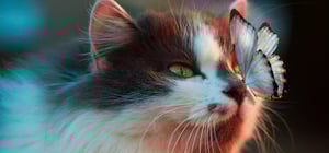 LiquidPixels-Use-Color-to-Create-Infinite-Possibilities-Blog-2019